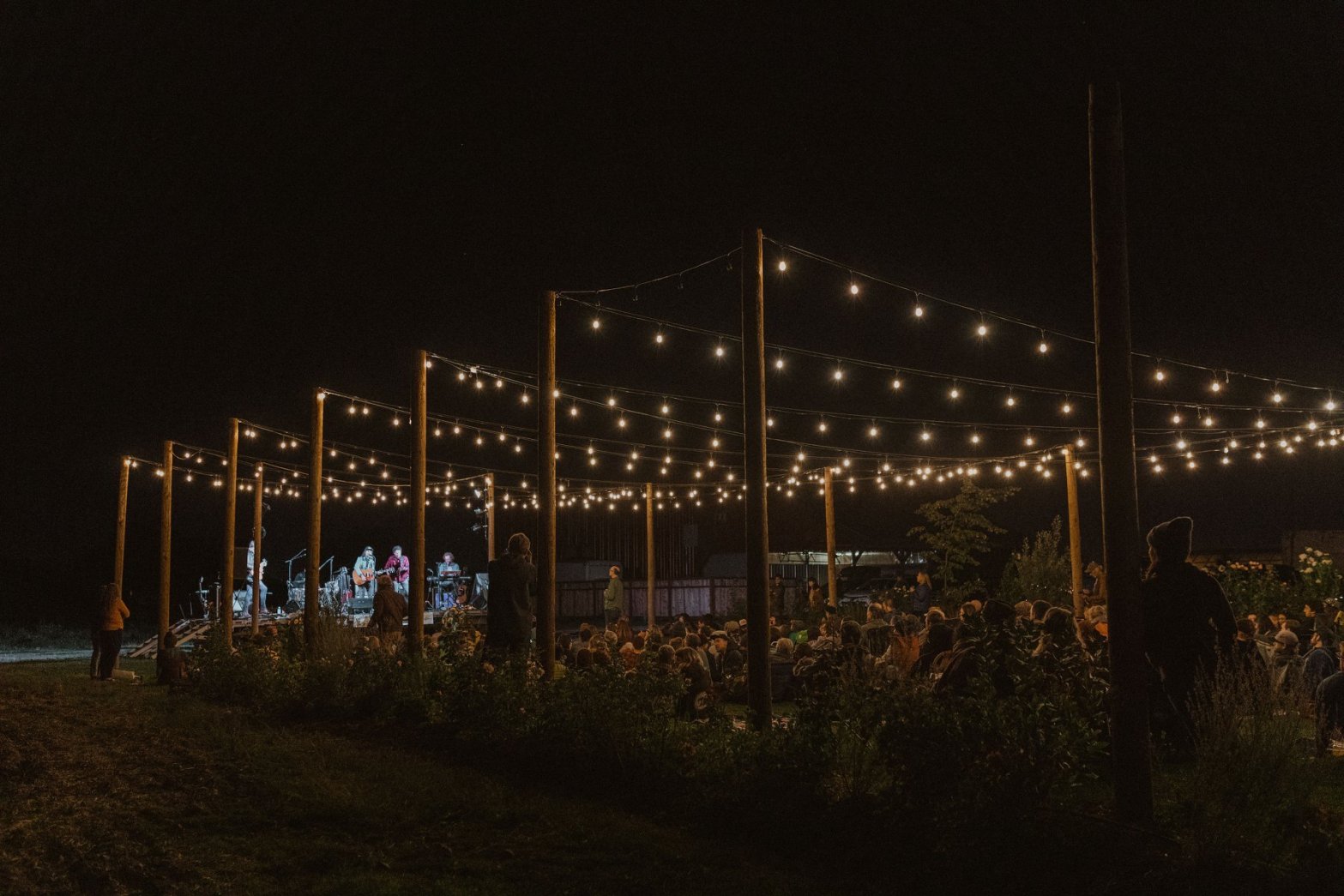 The Music Industry and COVID-19