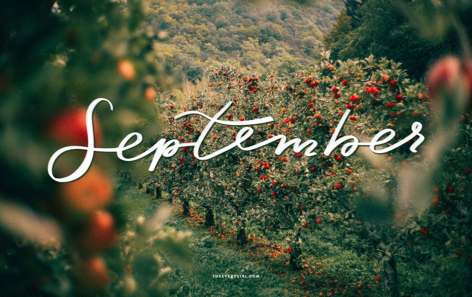 September